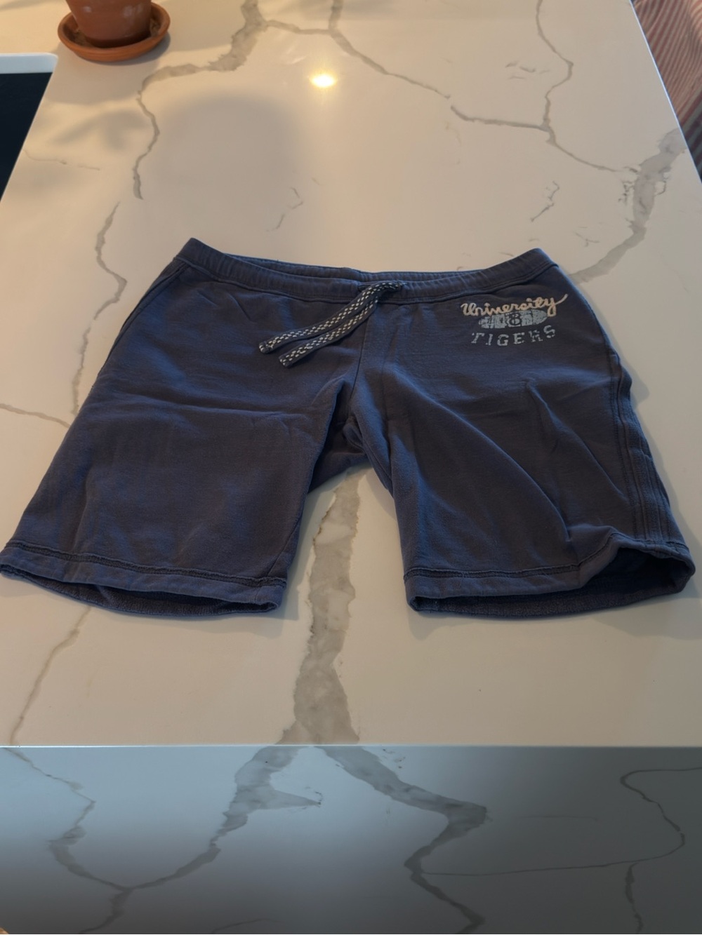 Mossimo Supply Co. Navy Drawstring Sweat Shorts